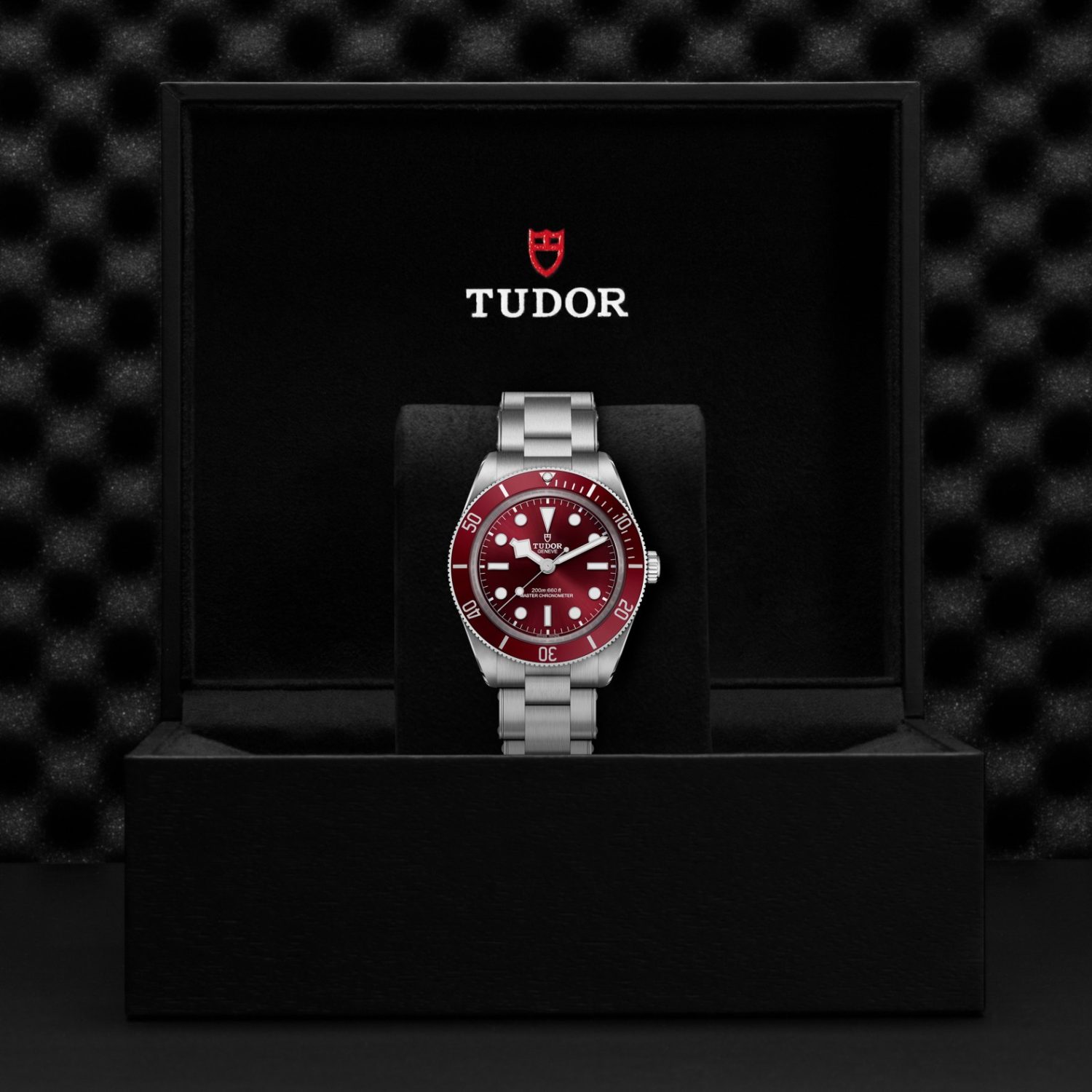 tudor M7939A1A0RU-0002 BLACK BAY 58
